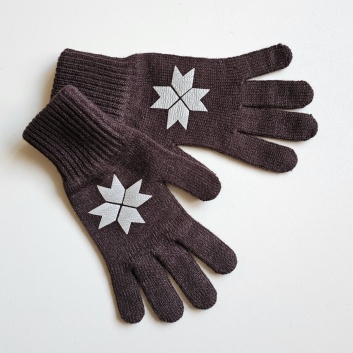 Brūni pirkstaiņi ar Auseklīti